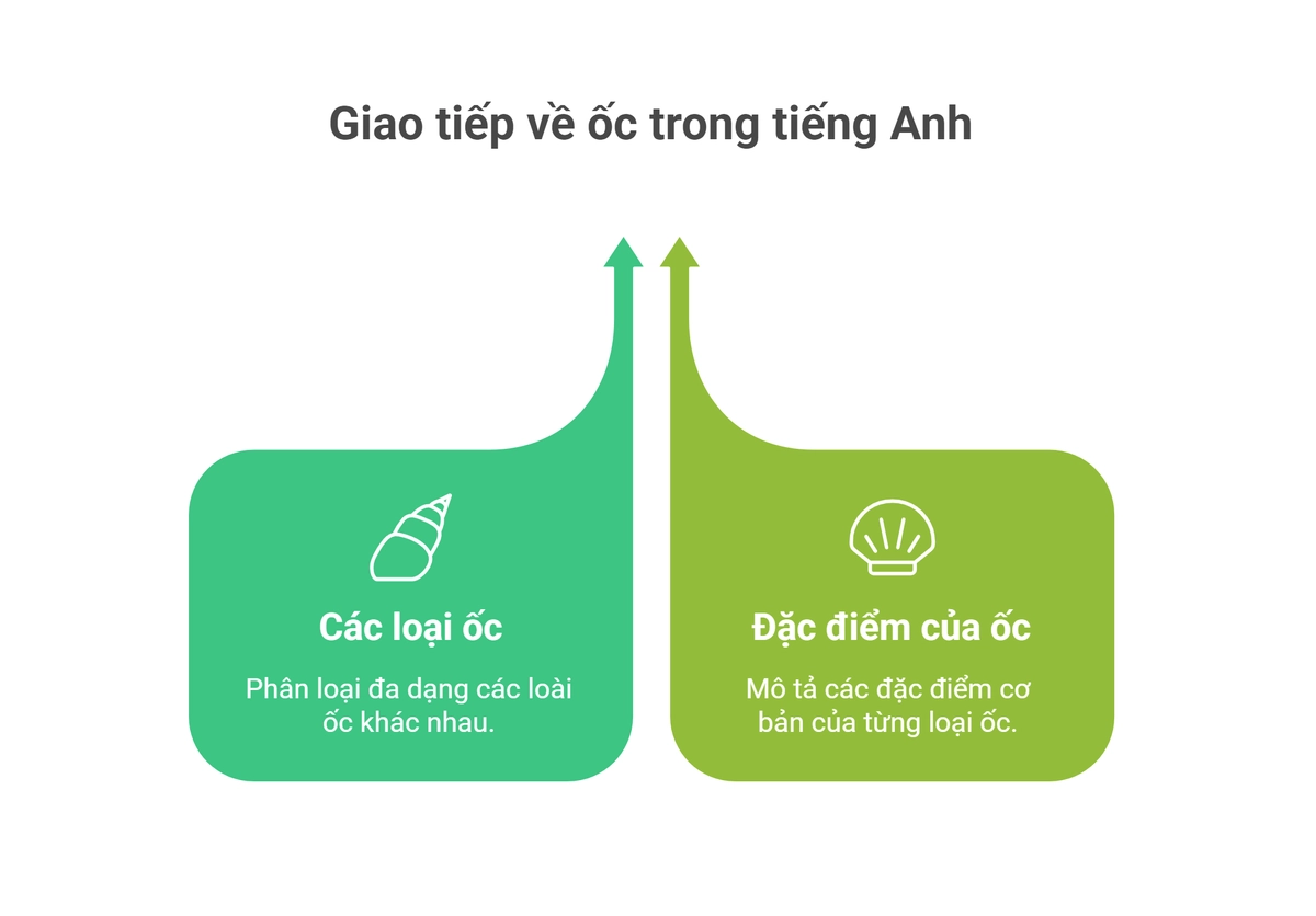 Giao Tiếp Tiếng Anh Về Ốc