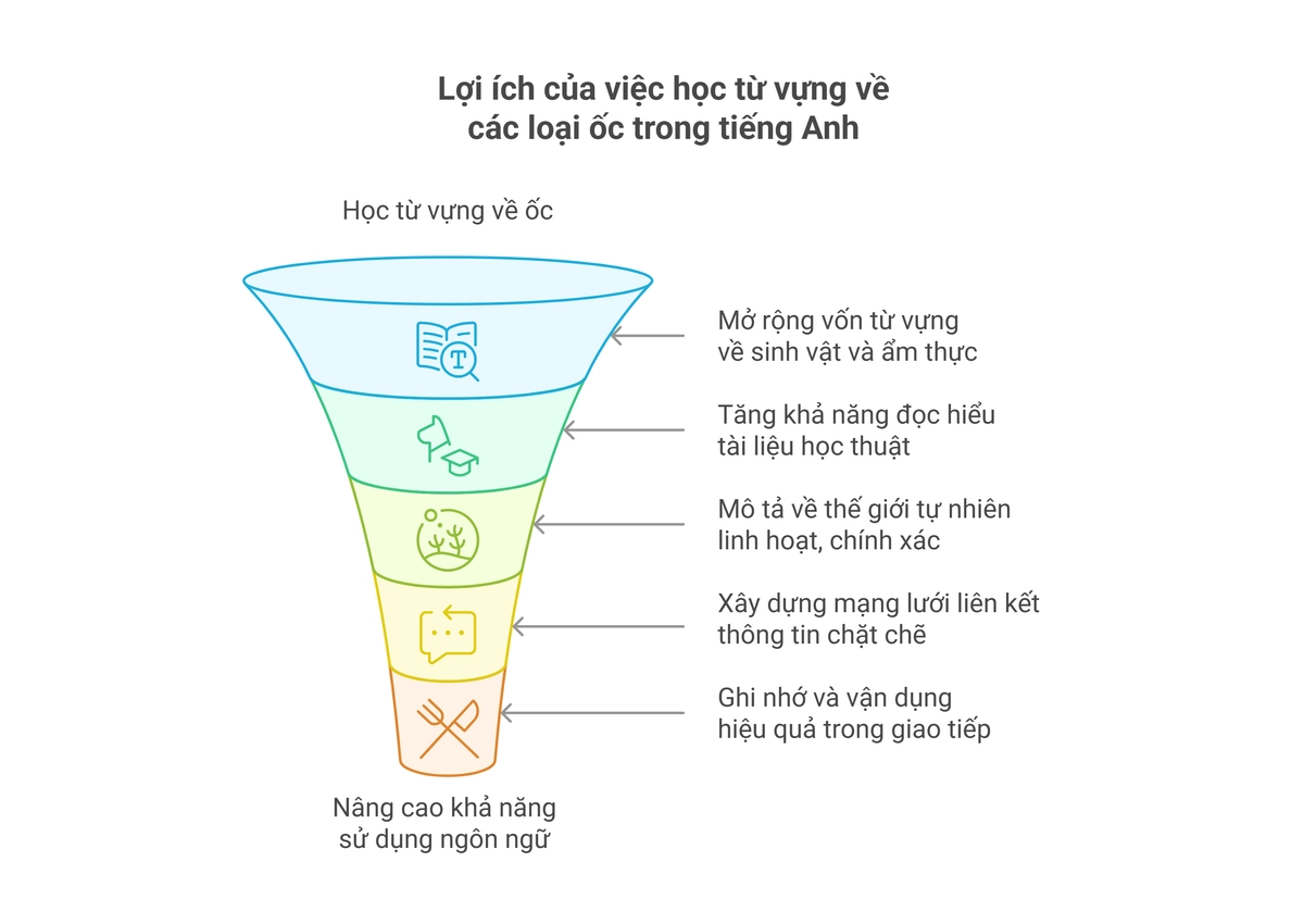 Tại sao nên học từ vựng về các loại ốc trong tiếng Anh