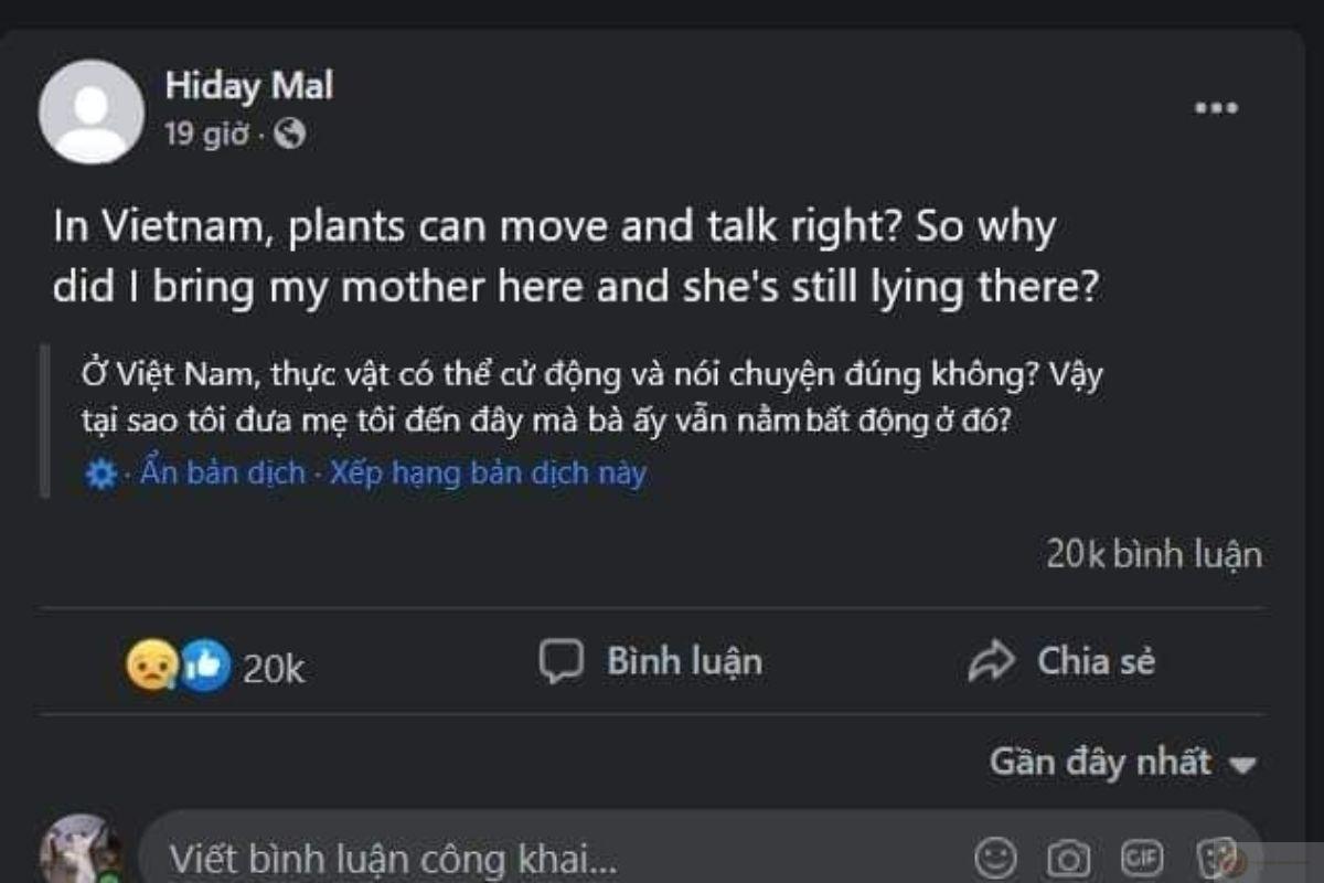 ảnh meme dak