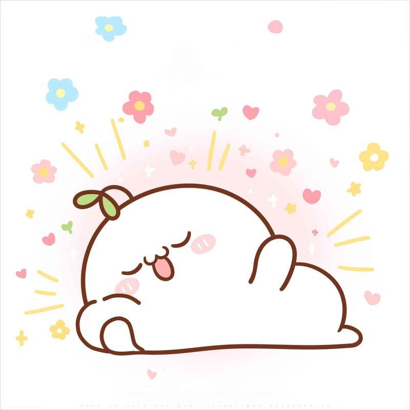30 Mẫu sticker cute lá chona dễ thương ấn tượng nhất 2026
