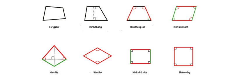 Nắm vững kiến thức và thực hành rất quan trọng. (Ảnh: Sưu tầm internet)
