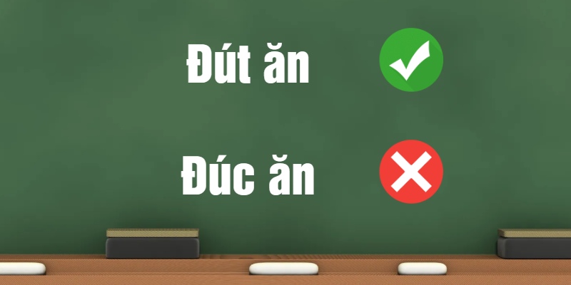 Đút ăn hay đúc ăn: Cách dùng từ chuẩn xác trong tiếng Việt