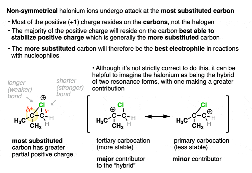 formation of halonium ions with ncs nbs nis halosuccinimides