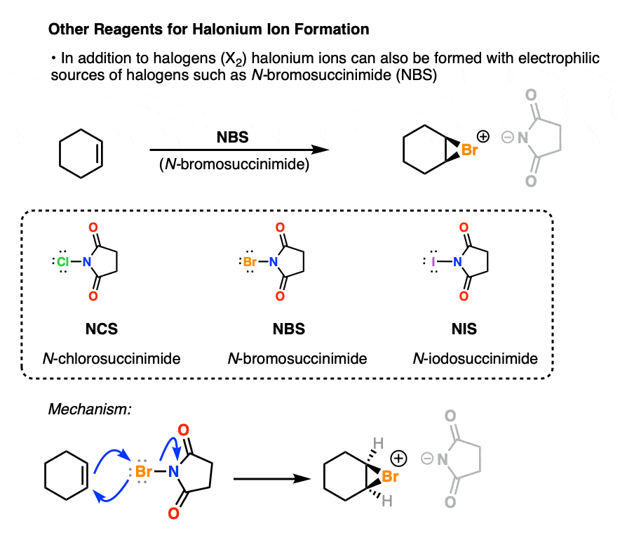 mechanism for the formation of halonium ions from n bromosuccinimide and others