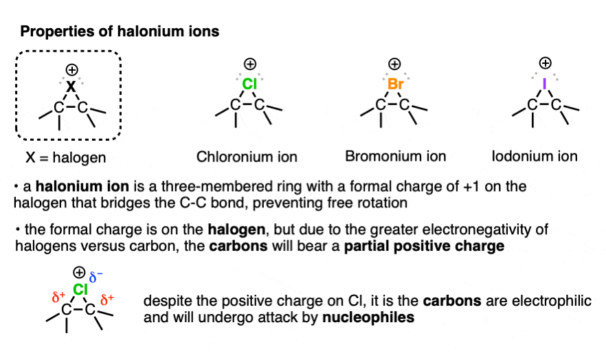 mechanism of alkene halogenation - attack of halide on bromonium ion to give anti addition