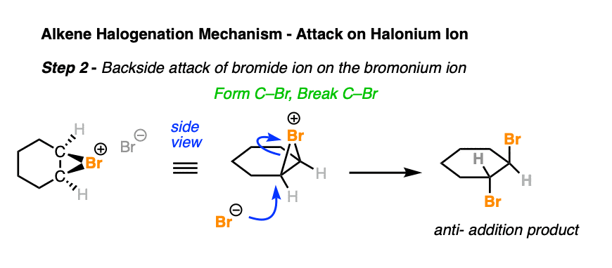 halohydrin formation from alkenes with halogen and water h2o gives anti product