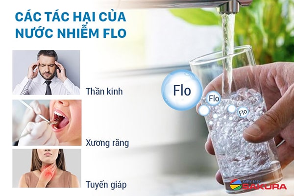 Flo trong nước gây ảnh hưởng gì đối với sức khỏe