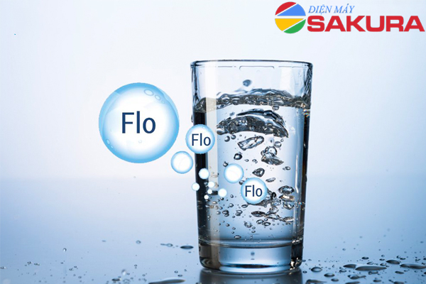 99% người dùng không biết Flo gây hại gì tới sức khoẻ