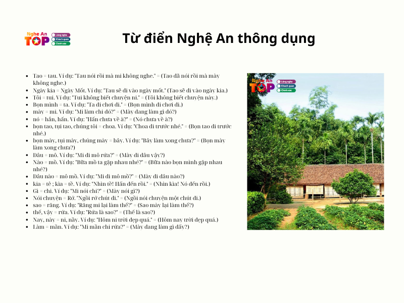 Từ điển tiếng Nghệ An: Học cách nói tiếng Nghệ địa phương chuẩn
