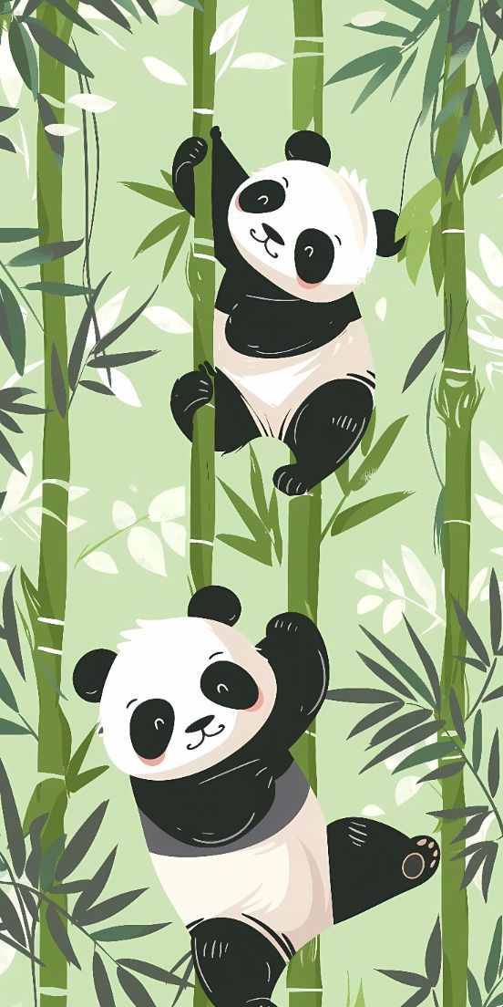 hình avatar gấu trúc cute