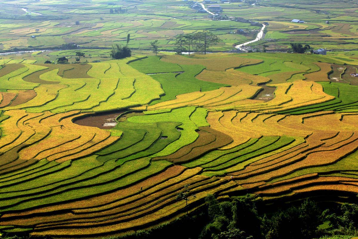 Cảnh đẹp Việt Nam