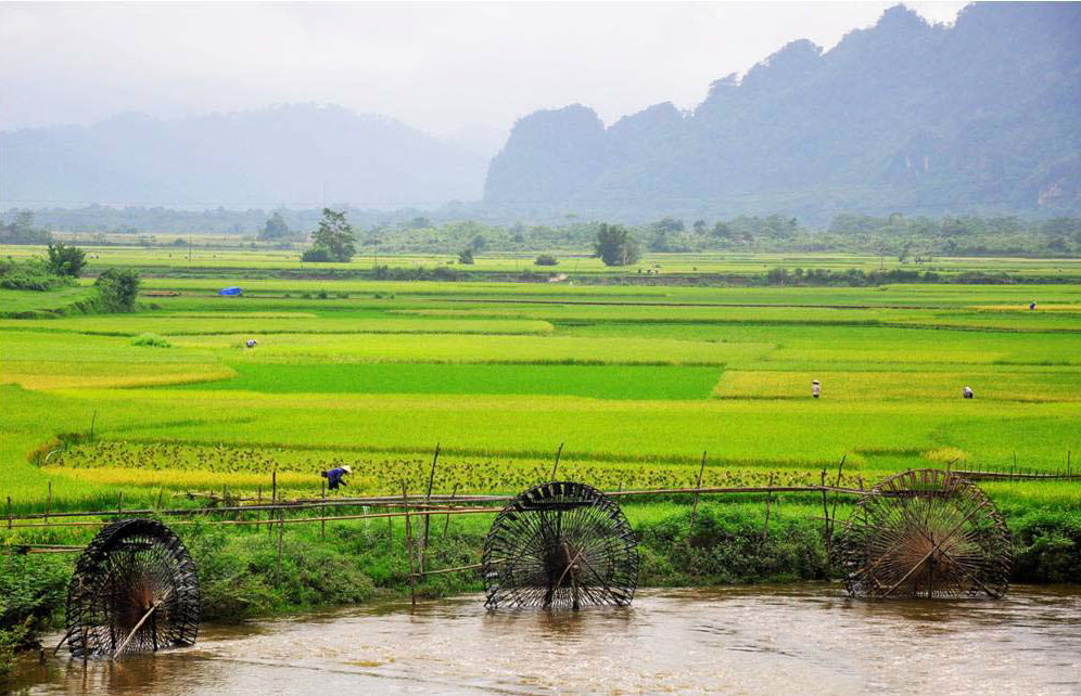 Phong cảnh đồng quê Việt Nam