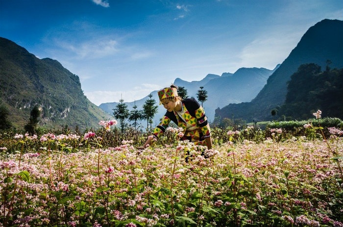 Ảnh đẹp người dân vùng cao Việt Nam