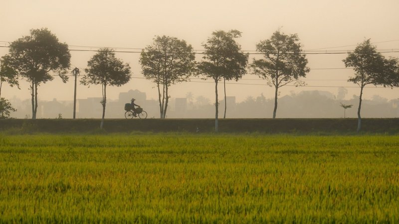 hinh-anh-binh-yen-lang-que-tinh-lang-32