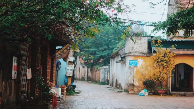 hinh-anh-binh-yen-lang-que-tinh-lang-17