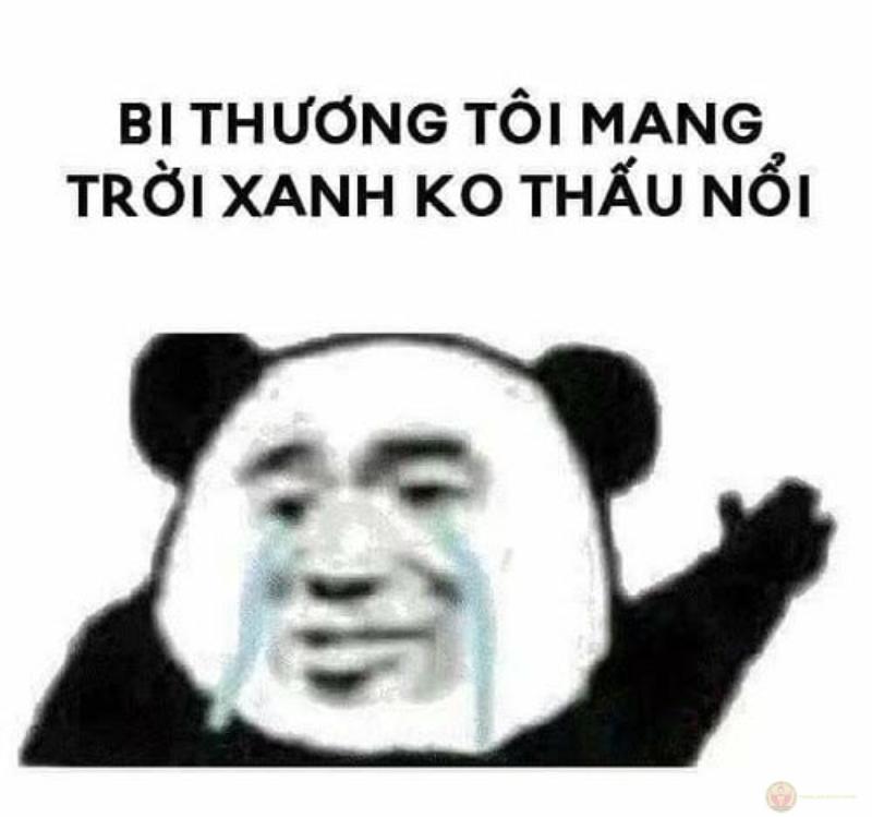 Không giận lâu, nhưng dỗi thì có hệ thống