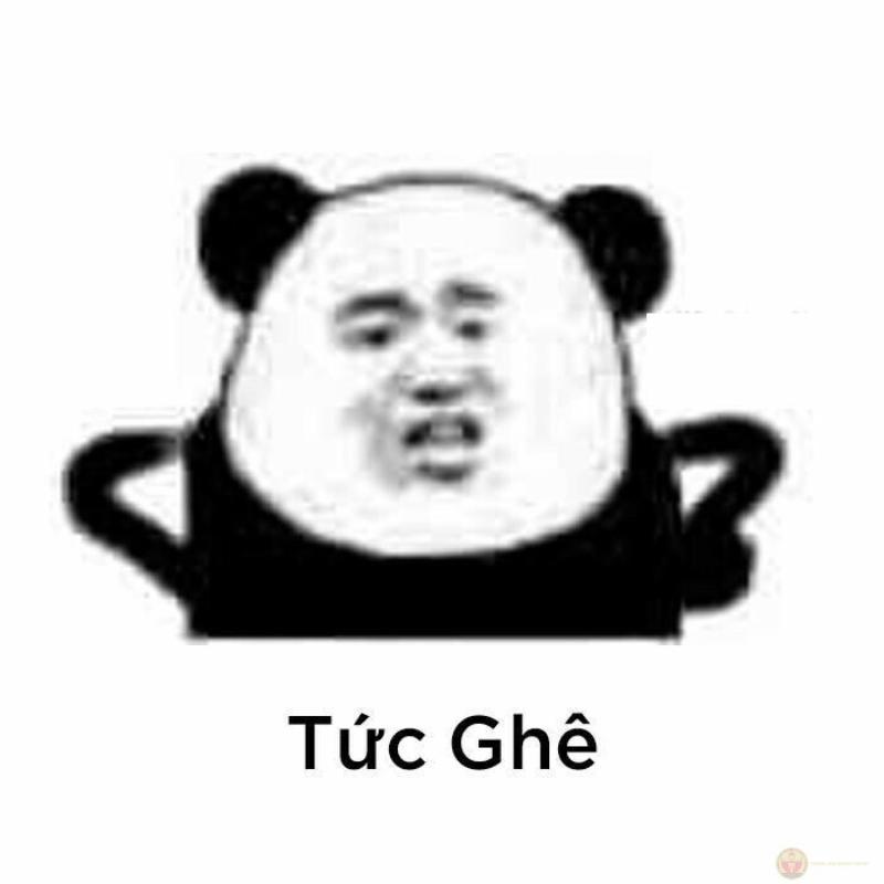 Đừng dỗ nếu không thật lòng