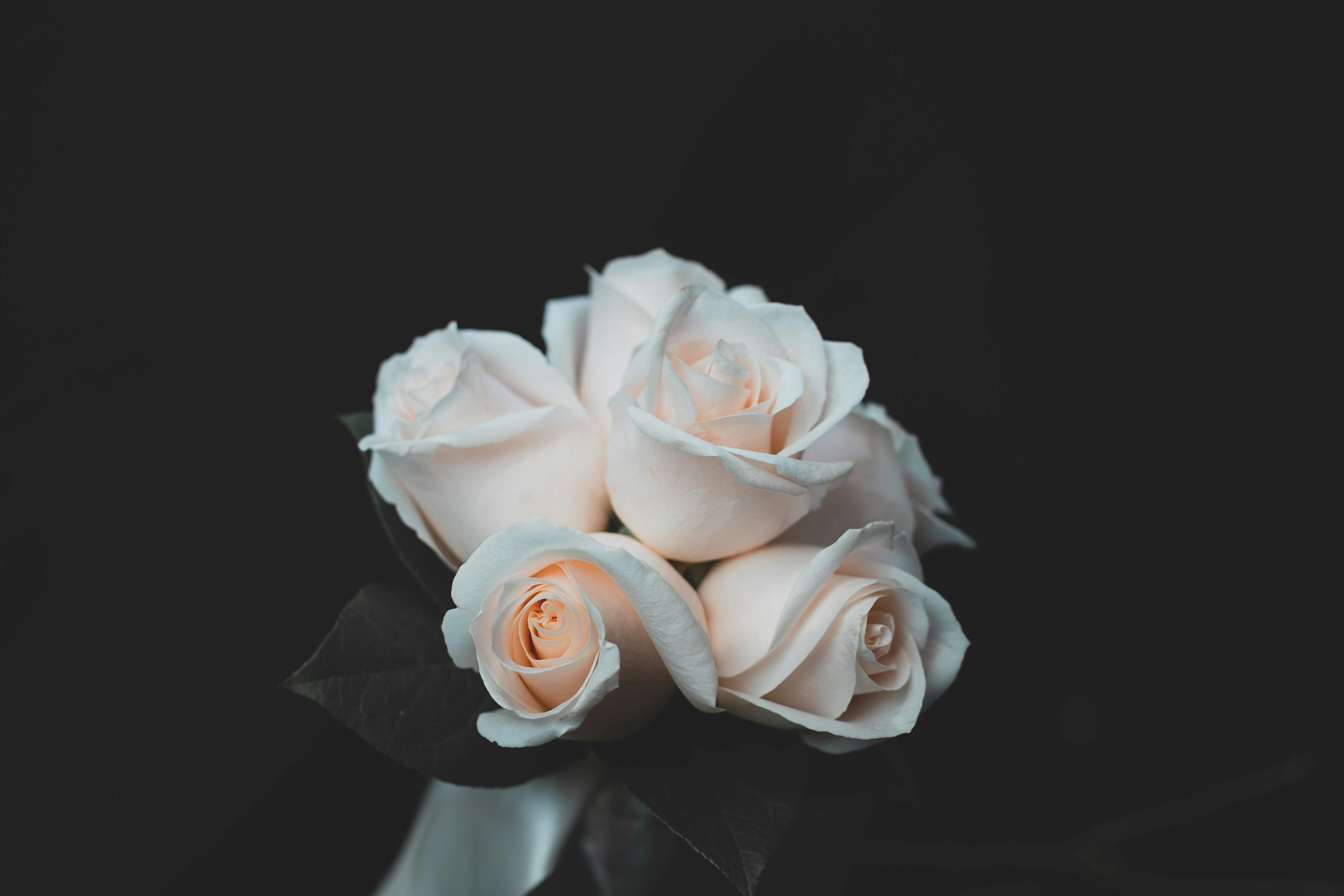 hình nền đen mới