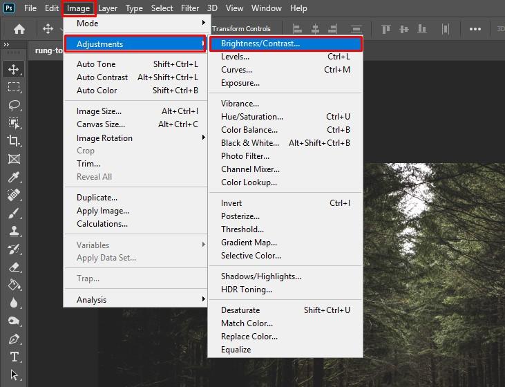 Hình ảnh trước khi chỉnh sáng bằng Brightness/Contrast