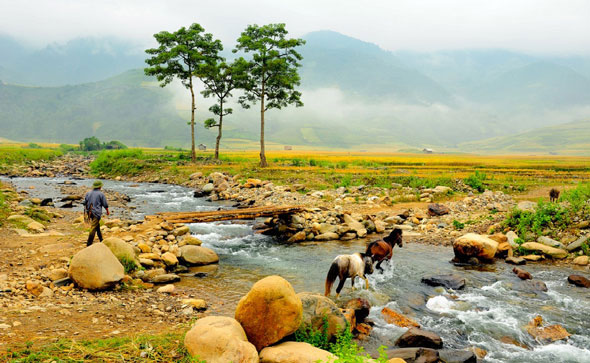 Những khoảnh khắc bình dị làng quê Việt Nam