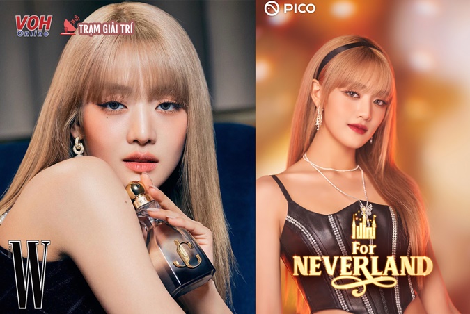 Hội idol nữ mặt mèo: Sức cuốn hút từ nét sắc sảo, kiêu kỳ