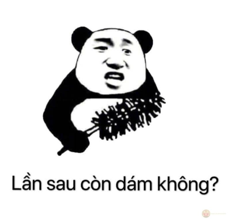 Không ai làm gì tui hết, tui tự drama thôi