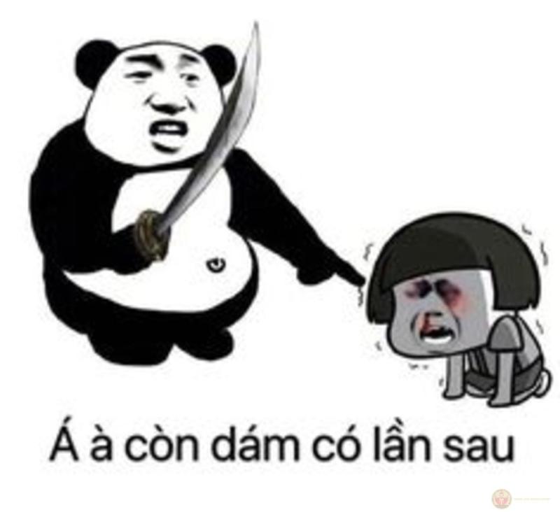 Gấu trúc sẵn sàng tha thứ, nhưng không làm lại