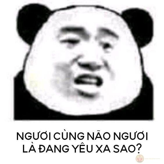 Một ánh mắt lạnh là đủ để biết mùi