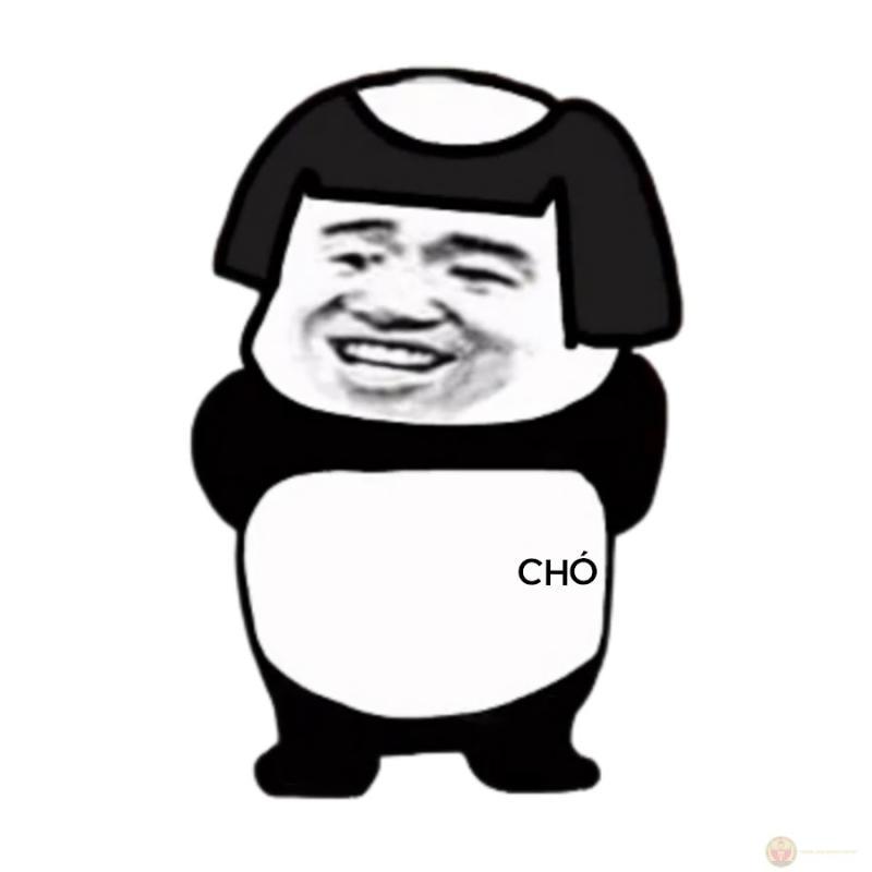 Người ta có tình yêu, tui có sự bình thản