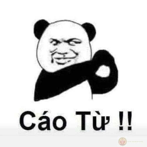 Tui cười vì mọi thứ đang vượt quá chịu đựng