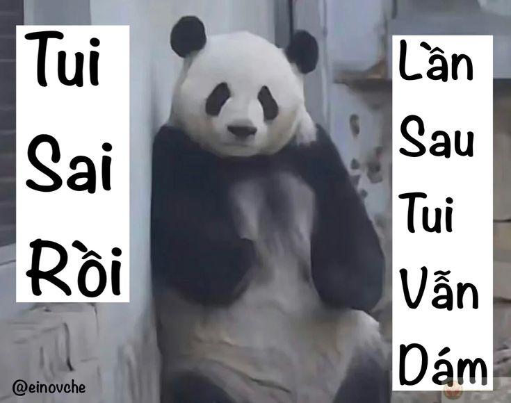 Tui không muốn nổi điên, nhưng cứ bị ép hoài