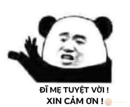 Tui không độc ác, tui chỉ biết phòng thân