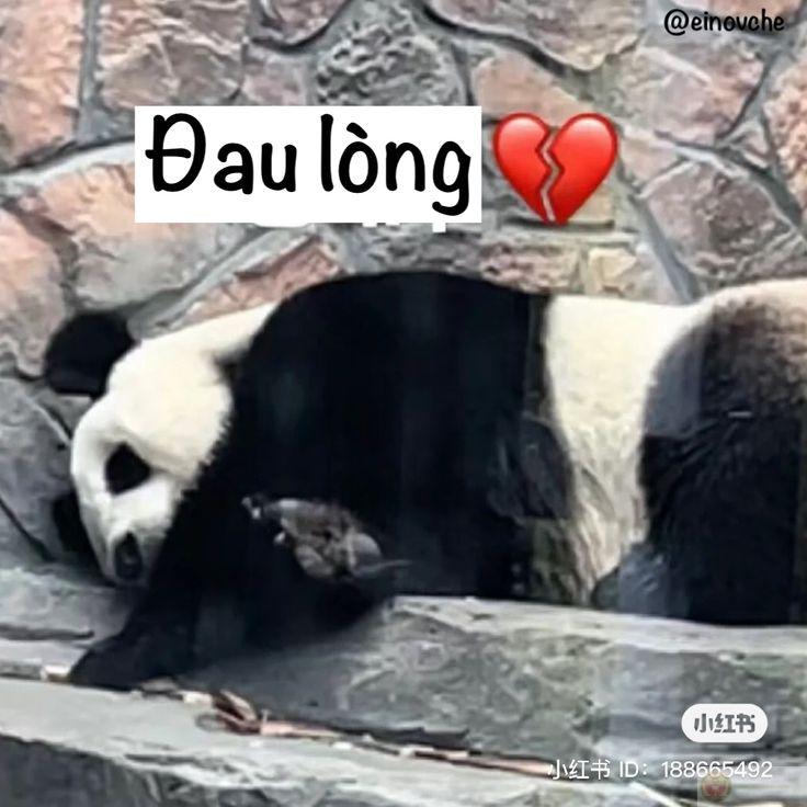Tui không đanh đá, chỉ hay phản ứng hơi mạnh
