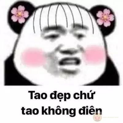 Cần chi nói nhiều, ánh mắt gấu trúc đủ hiểu