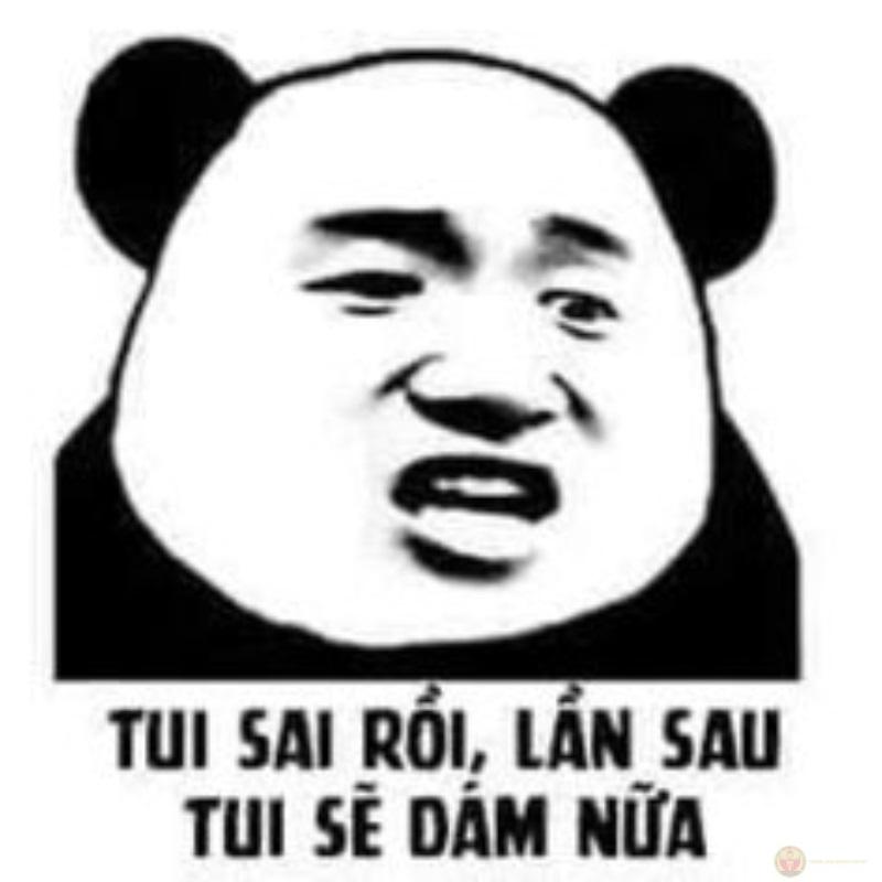 Đừng hỏi nữa, gấu trúc đang bận kiểm soát cảm xúc