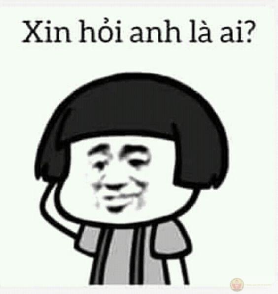 Meme cáo từ