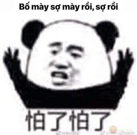 Meme gấu trúc khóc