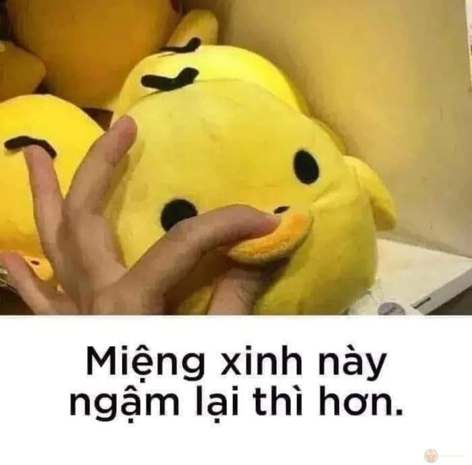 Học cách im lặng trước khi nói tiếp