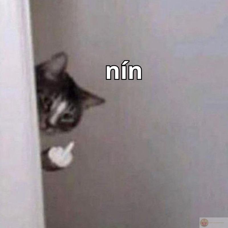 Nín đi mày, tao van xin mày đó