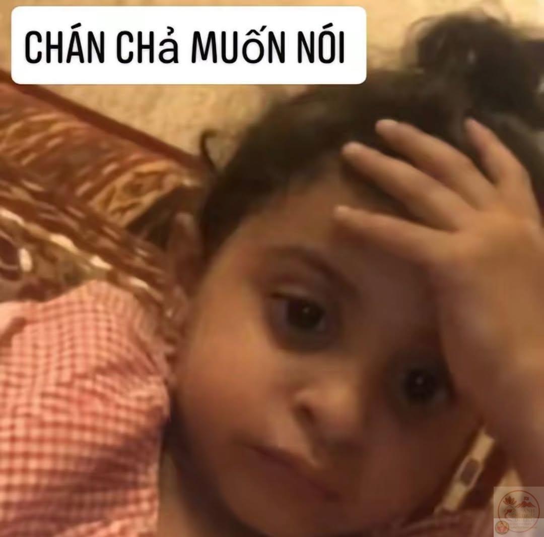Tiếng cười xuất hiện khi nhìn thấy những hình ảnh mô tả cảm giác chán ngán rõ ràng