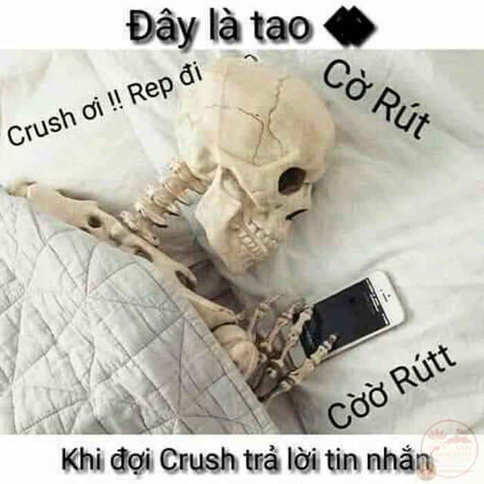 Hình chế chờ đợi tin nhắn hài hước