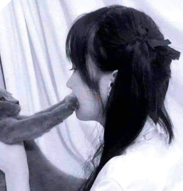 Cô gái chơi với mèo trông như ngậm chân mèo