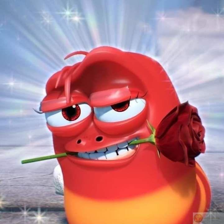 Meme tặng hoa
