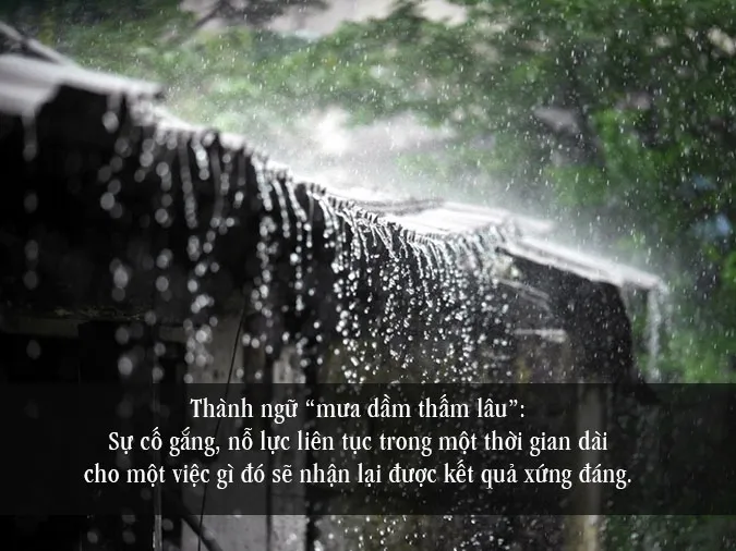 Giải thích ý nghĩa thành ngữ “Mưa dầm thấm lâu”
