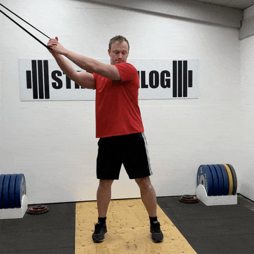 Mô phỏng động tác side plank with cable hold