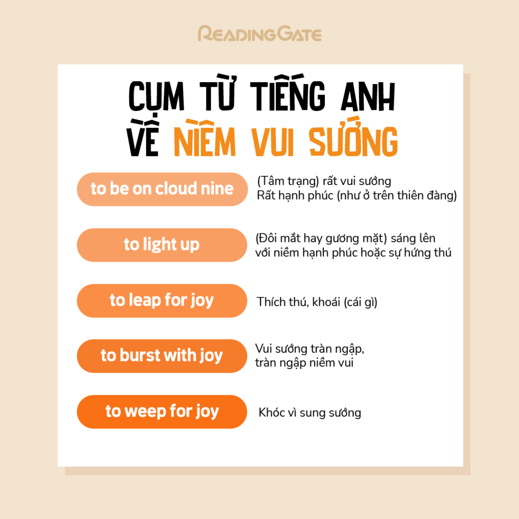 RG 8.11-06 cum tu tieng Anh ve niem vui suog