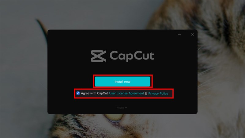 Phần mềm Capcut PC