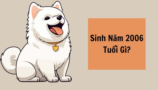 2k6 tuổi con gi