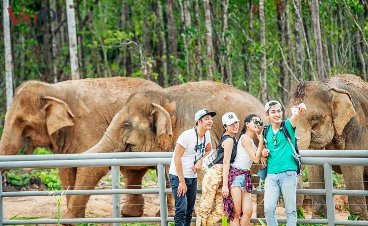 Vườn thú Safari