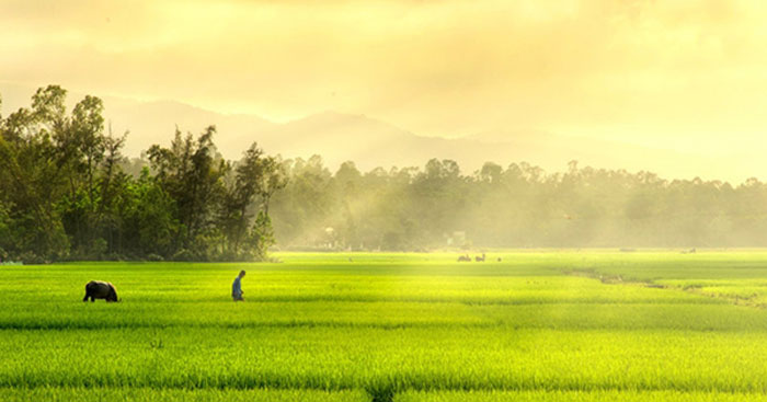 Tả cảnh đẹp đất nước lớp 3 Hay chọn lọc (32 mẫu)